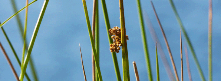 Lebensschule